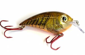 Pike County benefit bass tournament March 5