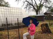 Square foot gardening uses less space, save work for producers