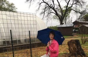 Square foot gardening uses less space, save work for producers