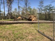 Damaged cemetery in need of help after April 13 twister