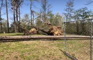 Damaged cemetery in need of help after April 13 twister