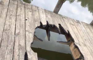 Reward offered for information about damage to dock at Glenwood’s Caddo Pond