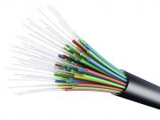 Fiber optic prospects draw big crowd to UA Cossatot