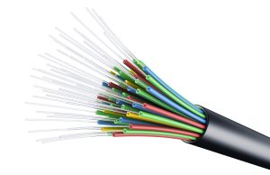 Fiber optic prospects draw big crowd to UA Cossatot