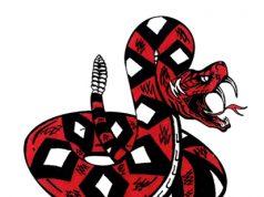 Rattler coach finalist for Farm Bureau Insurance Football awards