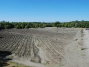 Springtime Mining at Crater