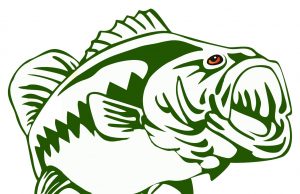 Pike County benefit bass tournament April 24