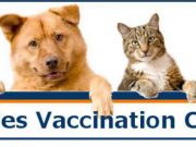 Howard County 4-H’s one-day rabies clinic