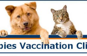 Howard County 4-H’s one-day rabies clinic