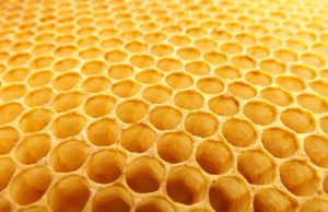 Local beekeepers to offer hive workshop March 16