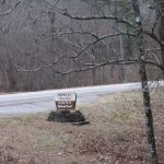 trail photo