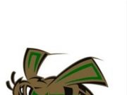 Mineral Springs Elementary Honor Roll