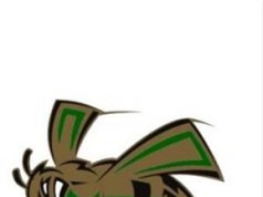 2019 Mineral Springs Homecoming Court