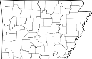 Ozan man gets 20 years for negligent homicide accident