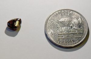 Record rain uncovers 2.12-carat brown diamond at state park