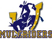 SAU Sports Hall of Fame picks three former Nashville residents