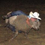 rodeo 8 Buck Miller