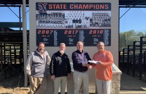 Turf installation set at Wilson Park after bank donation