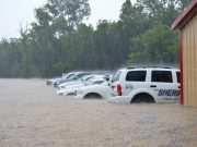 Nashville PD purchases replacement vehicles