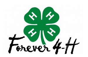 4-H Barbecue Bowl to kick off Feb. 1