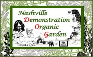 Nashville ‘demo’ organic garden to host seed-saving, seed swap Feb. 21