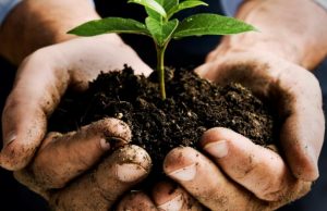 Become a Master Gardener