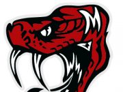 SPCSD to train, arm staff this school year