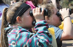 Christmas Bird Count Dec. 14-Jan. 5