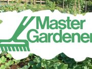 Master Gardeners’ meeting Feb. 26 at FUMC
