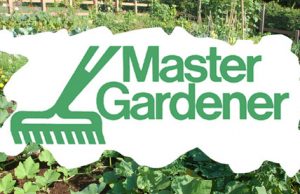 Master Gardeners’ meeting Feb. 26 at FUMC