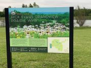 Conservation center to host ‘Wild Wednesday: Boating Safety’ July 7