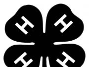 HoCo 4H selling smoked ribs, Cornish hens