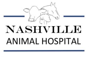 Meet Nashville’s new vet on March 15