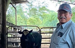 Bull donation to Navajo Nation fulfills wish of late farmer