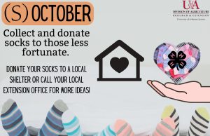 Pike County 4-H collecting socks for causes