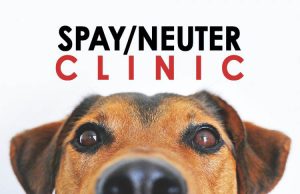 Mobile spay/neuter clinic to roll into Pike County March 7-9
