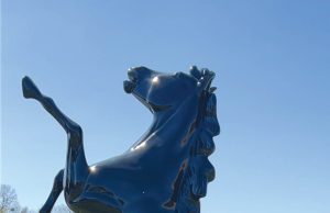 Both Dierks junior high teams earn district crowns