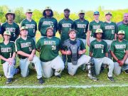 MS softball, baseball earns