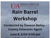 Rain barrel workshop June 8