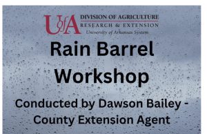 Rain barrel workshop June 8