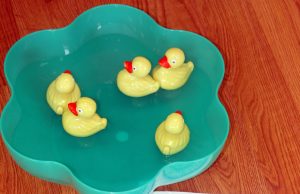 Winning duck worth $1,000 in benefit race down Little Mo’