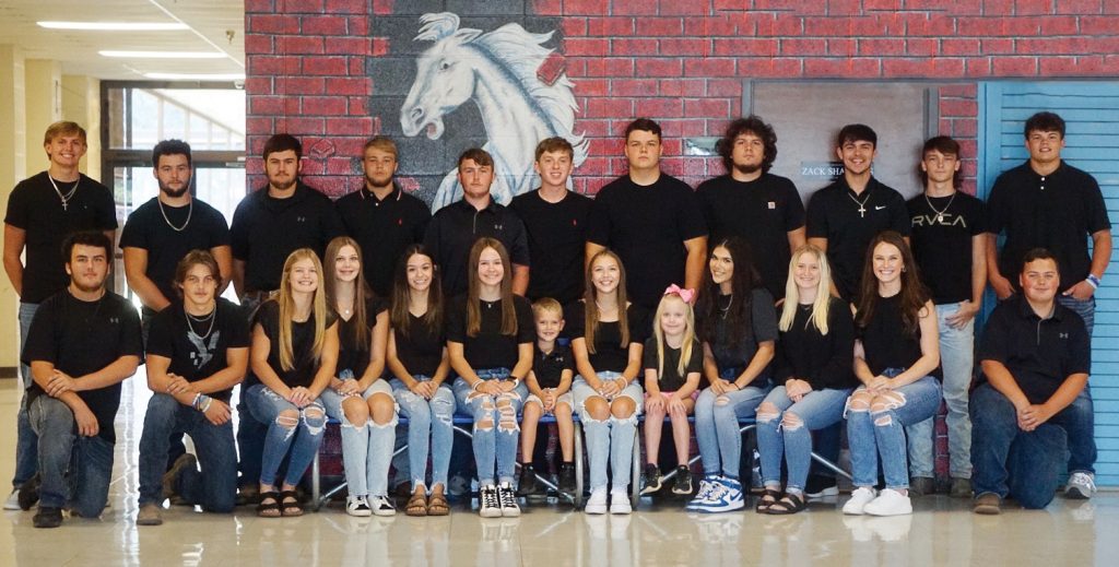 Dierks High School announces court Southwest Arkansas News