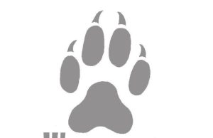 Closure of Umpire campus approved