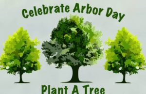 ‘Free Tree Fridays’ underway