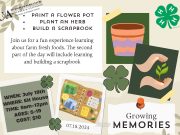 ‘Growing Memories’ workshop July 18 in Nashville