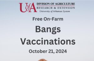 Free on-farm bangs vaccinations Oct. 21; sign up now