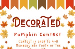 HoCo 4H sponsoring community youth pumpkin decoration contest