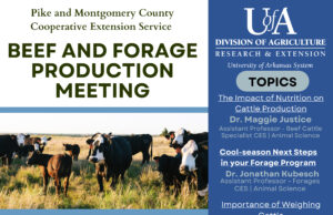 Pike County to host beef, forage production meeting Feb. 11