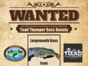 ‘Bass Bounty’ now on at Dierks City Pond