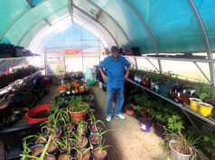 Howard County Master Gardeners: Green thumbs (or wannabes) are welcome